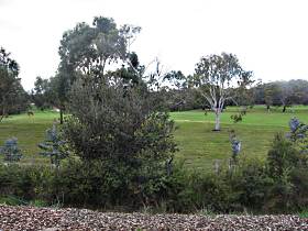 Bicheno Holiday Rentals - Hazards View Drive Coles Bay - Dalby Accommodation 1