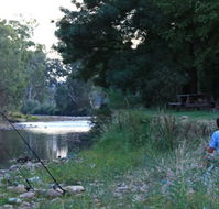 Gentle Annie Caravan and Camping Reserve - Dalby Accommodation