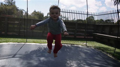 Amberlee Family Holidays - Dalby Accommodation 1