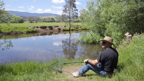 BIG4 Taggerty Holiday Park - Dalby Accommodation 4