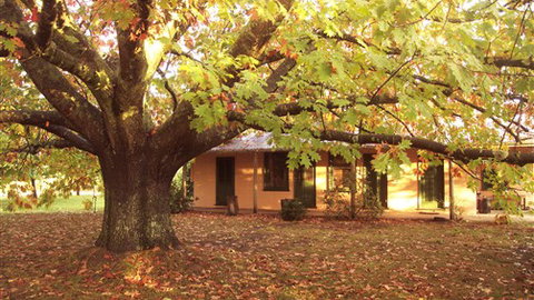 Delatite Station - Dalby Accommodation 3