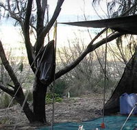 Main Beach Foreshore Camping Grounds - Dalby Accommodation