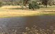 Black Horse Park - thumb 4