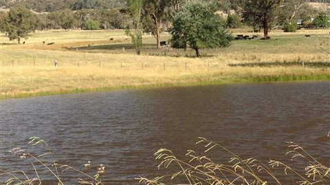 Black Horse Park - Dalby Accommodation 4