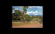 Howqua Valley Views - thumb 5