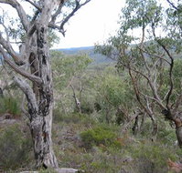 The Glen - Dalby Accommodation
