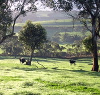 Bellevue Farmstay - Dalby Accommodation