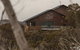 Duck Inn Mount Buller - thumb 1