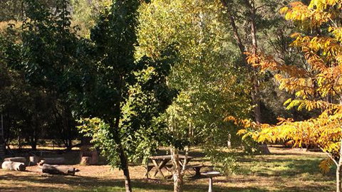 Schusters Lodge - Dalby Accommodation 6