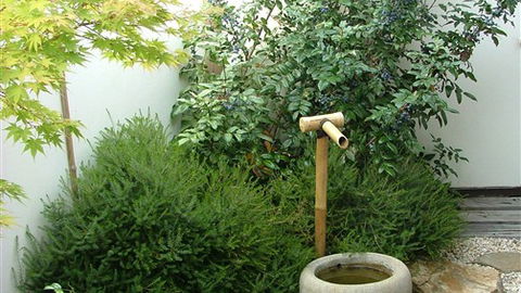 Shizuka Ryokan Japanese Country Spa & Wellness Retreat - Dalby Accommodation 3