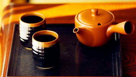 Shizuka Ryokan Japanese Country Spa & Wellness Retreat - Dalby Accommodation 7