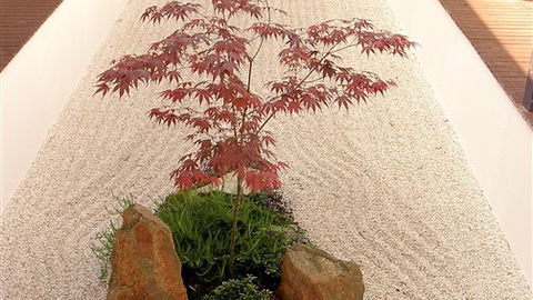 Shizuka Ryokan Japanese Country Spa & Wellness Retreat - Dalby Accommodation 6