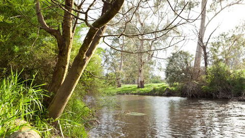 Lonsdale Park On The Yarra - Dalby Accommodation 7