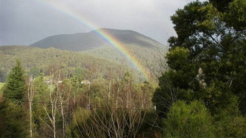 Wattletree Cottage - Dalby Accommodation 0