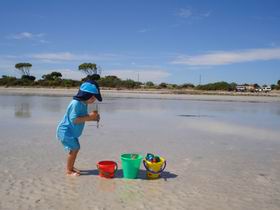 Corny Point Caravan Park - Dalby Accommodation 1