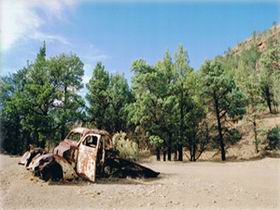 Moolooloo Station - Dalby Accommodation 1