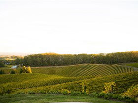 Pike And Joyce Wines - Dalby Accommodation 1