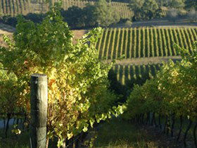 Cudlee Creek SA Dalby Accommodation
