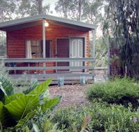 A Maze 'N Things Holiday Park - Dalby Accommodation