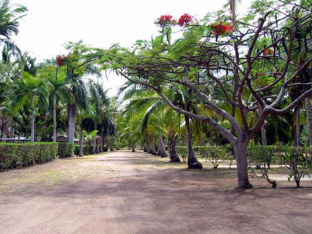 Alva QLD Dalby Accommodation