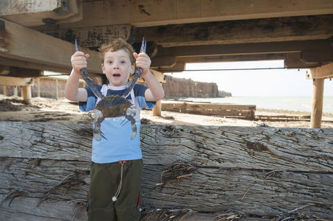 Ardrossan Caravan Park - Dalby Accommodation 6