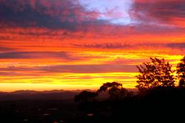 Avocado Sunset Bed & Breakfast - Dalby Accommodation 7