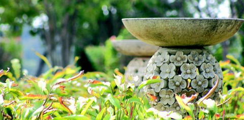 Ballina Palms Boutique Motel - Dalby Accommodation 2