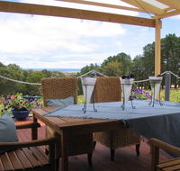 Blue Grape Vineyard Accommodation - Dalby Accommodation