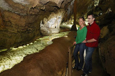 Buchan Caves Reserve - Dalby Accommodation 2