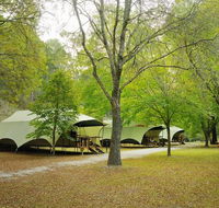 Buchan Caves Reserve - Dalby Accommodation