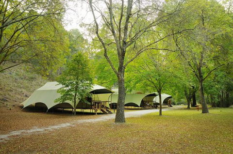 Buchan Caves Reserve - Dalby Accommodation 0