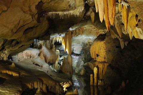 Buchan Caves Reserve - Dalby Accommodation 4