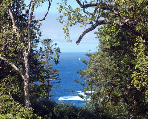 Bucks Point House - Dalby Accommodation 3