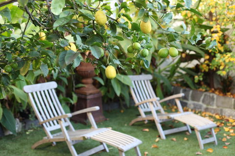 Captains Retreat B&B - Dalby Accommodation 1