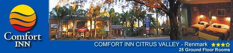 Comfort Inn Citrus Valley - Dalby Accommodation 2