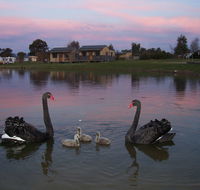 Mansfield Holiday Park - Dalby Accommodation