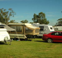 Crocodile Caravan   Camping Park - Dalby Accommodation