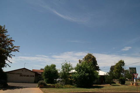 Forest Lodge Motor Inn & Restaurant - Dalby Accommodation 0