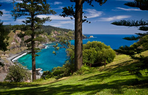 Forrester Court Cliff Top Cottages - Dalby Accommodation 7