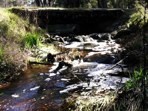Hidden Grove Retreat - Dalby Accommodation 4