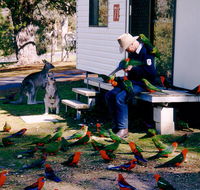 Inland Waters Holiday Parks Burrinjuck - Dalby Accommodation