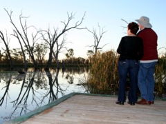 Kingston-On-Murray Caravan Park - Dalby Accommodation 2