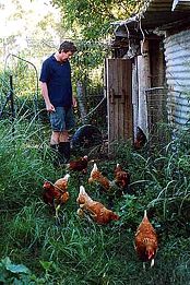 Lagoon Pocket Bed & Breakfast - Dalby Accommodation 1