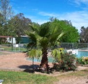 Lake Burrinjuck Leisure Resort - Dalby Accommodation
