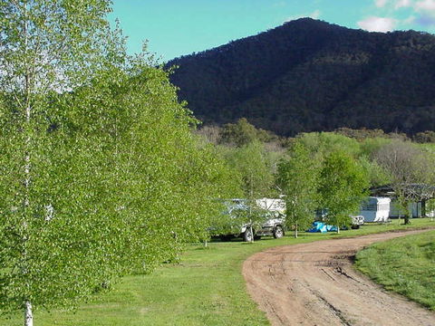 Magorra Caravan Park - Dalby Accommodation 0