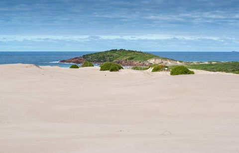 Myall Shores Holiday Park - Dalby Accommodation 9