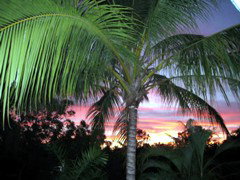 Palmerston Sunset Retreat - Dalby Accommodation 4