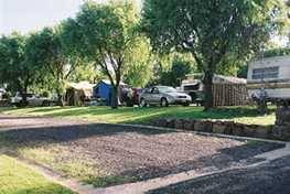 Poplar Caravan Park - Dalby Accommodation 3