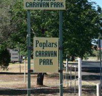 Poplars Caravan Park - Dalby Accommodation