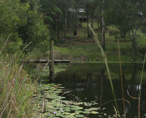 Maleny Country Cottages - Dalby Accommodation 4